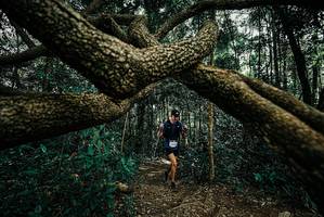 BIB: 
                            <button type="button" onclick="openModal(25708194)" class="btn btn-primary btn-sm float-right btn-popup" data-toggle="modal" data-target=".modal-high-quality">
                        <i class="fas fa-shopping-cart"></i> Add to Cart
                    </button>
                                            <button type="button" onclick="isThisMe(25708194, true)" class="btn btn-success btn-sm float-right btn-popup btn-isme hidden" data-toggle="tooltip" data-placement="bottom" title="นี่คือรูปของคุณใช่ไหม คลิกที่นี่เพื่อเอาเข้าอัลบั้ม">
                        <i class="fas fa-plus"></i> Add to album
                    </button>
                    <button type="button" onclick="isThisMe(25708194, false)" class="btn btn-warning btn-sm float-right btn-popup btn-isnotme hidden">
                        <i class="fas fa-ban"></i> Remove from album
                    </button>